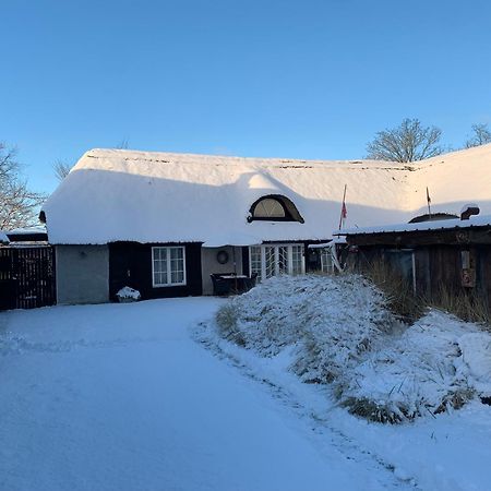 Farm61 Badehotellet I Det Midtjydske - Alder +18 Ar Tjele Exteriér fotografie