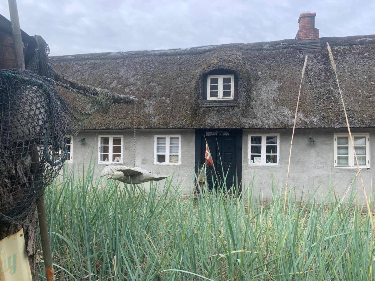 Farm61 Badehotellet I Det Midtjydske - Alder +18 Ar Tjele Exteriér fotografie
